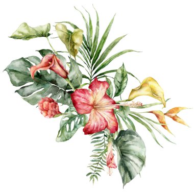 Suluboya tropikal çiçek buketi, amber çiçeği, kalla, etlingera ve helikonya. Beyaz arka planda elle boyanmış çiçek posteri. Tasarım, baskı, kumaş veya arkaplan için Tatil Resimleri