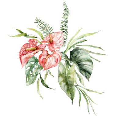 Suluboya tropikal çiçek buketi anthurium, eğrelti otu ve canavar. Beyaz arka planda elle boyanmış çiçek posteri. Tasarım, baskı, kumaş veya arkaplan için Tatil Resimleri