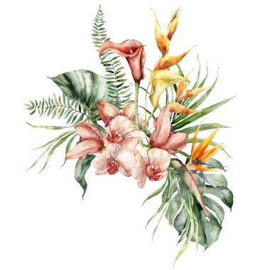 Suluboya tropikal çiçek buketi kalla, helikonya, orkide ve canavar. Beyaz arka planda elle boyanmış çiçek posteri. Tasarım, baskı, kumaş veya arkaplan için Tatil Resimleri