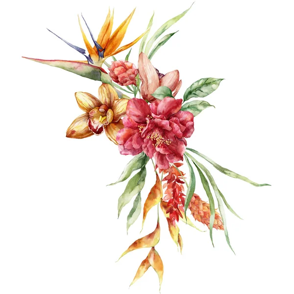 Akvarell Trópusi Virágok Csokor Strelitzia Heliconia Etlingera Kézzel Festett Virágos — Stock Fotó