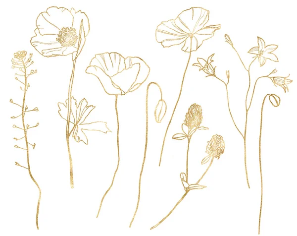 カプセル カンパヌラとクローバーの水彩牧草地金の花セット 白を基調とした直線的な花柄のイラストを手描き デザイン プリント ファブリックまたは背景のために — ストック写真