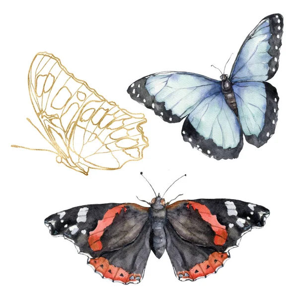 Acquerello Wild Set Farfalle Lineari Illustrazione Oro Dipinta Mano Isolata — Foto Stock