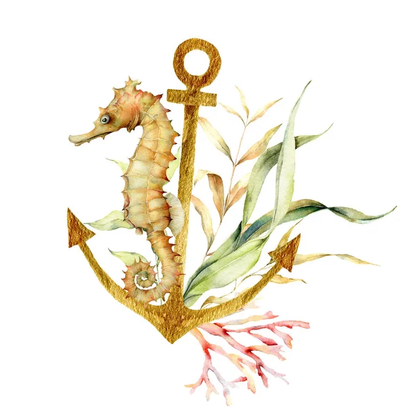 Akwarela Podwodna Kompozycja Złotej Kotwicy Konika Morskiego Laminarii Ręcznie Malowana — Zdjęcie stockowe
