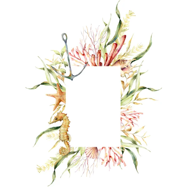 Akvarel Podvodní Rám Mořských Koníků Kotvy Korálů Laminaria Ručně Malované — Stock fotografie