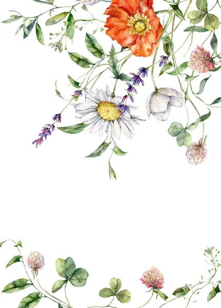 Aquarell Wiesenblumen Grenzen Mohn Kamille Klee Und Lavendel Handbemalter Blumenrahmen — Stockfoto