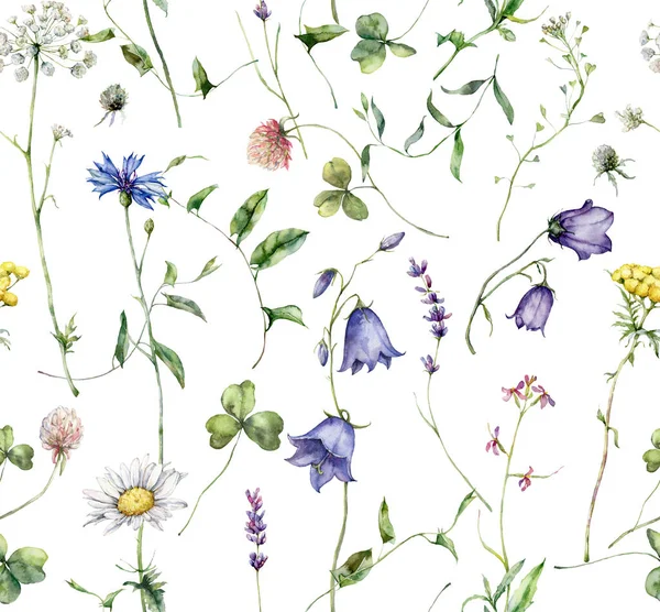 Aquarell Wiesenblumen Nahtlose Muster Von Kamille Kornblume Campanula Und Lavendel — Stockfoto