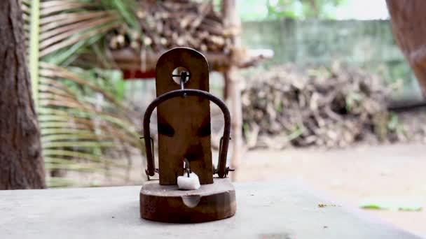 Hindistan Eski Tip Fare Kapanı Testleri Işe Yaraması Için Tam — Stok video