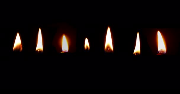 暗い背景 アルファ に対して隔離された現実的なろうそくの炎 映像はルママット 4Kロウソク火セット — ストック動画