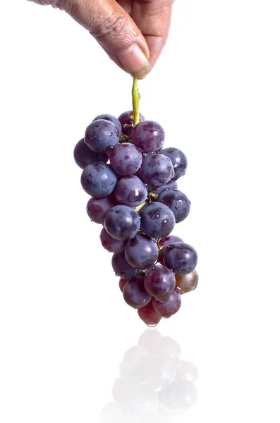 Tasty Grapes Hand Isolated White Background — Stockfoto