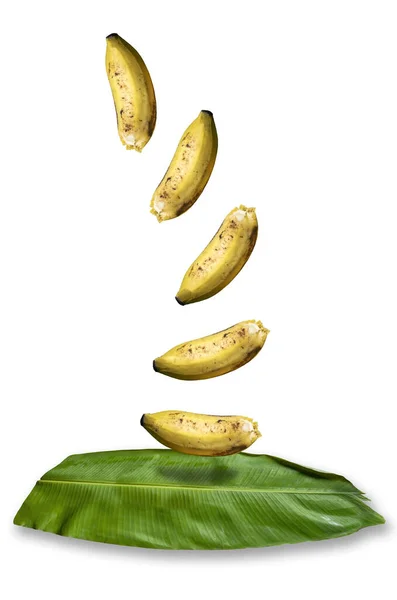 Świeże Dojrzałe Banany Spadające Odizolowane Liście Bananów Białym Tle — Zdjęcie stockowe