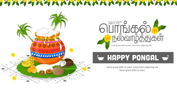 Pongal Festival Дизайн Плаката Happy Pongal Перевод Текста Тамильский Язык — стоковый вектор