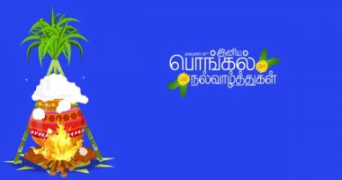 Mutlu Pongal festivalleri. Mavi Ekran Alfa Kanalı ve Mutlu Pongal ile animasyon Tamilce metni çevir. 4k