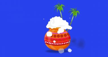 Mutlu Pongal Festivali çömleği ve şeker kamışı mavi ekranda. Happy Pongal selamı için kullanılabilir. Mavi Ekran Alfa Kanalı ile animasyon. 4k