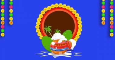 Mutlu Pongal festivalleri. Mavi Ekran Alfa Kanalı ile animasyon. 4k