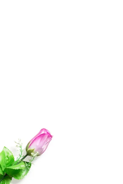 Rózsaszín Rózsa Virág Fehér Háttérrel Valentin Napra Anyai Üdvözlőlap — Stock Fotó