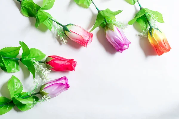 Багатокольорові Бутони Троянд Білому Тлі Весілля День Народження Днем Щасливих — стокове фото