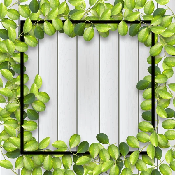 Square Frame Overgrown Lemon Tree Branches Green Leaves Wooden Background — Stockfoto