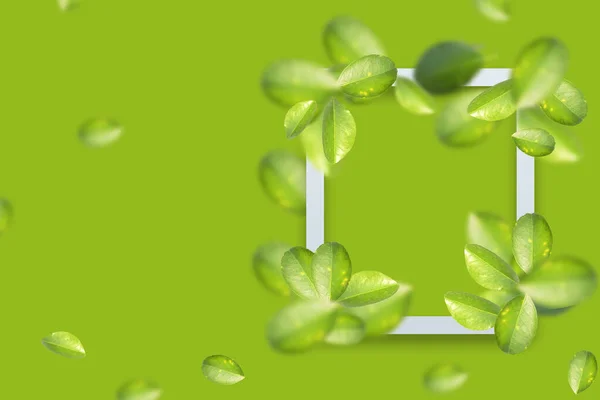 Green Lemon Leaves White Frame Green Background Summer Concept Copy — Stockfoto
