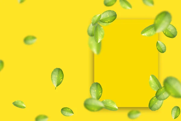Hojas Limón Verde Con Papel Amarillo Liso Sobre Fondo Amarillo — Foto de Stock