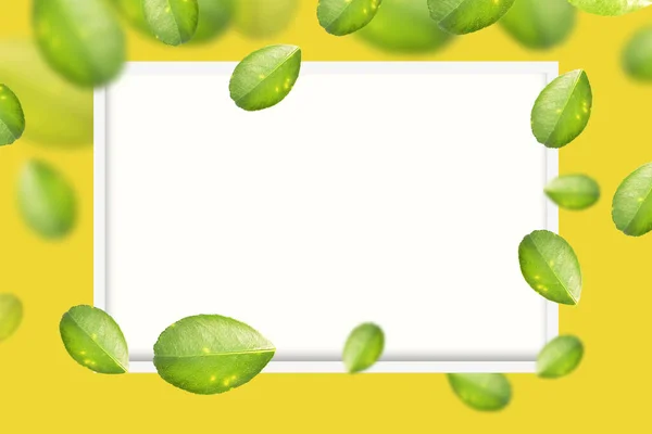 Green Lemon Leaves White Square Yellow Color Background — ストック写真