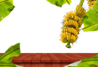 A ripe yellow bananas with plain wooden table on white background.