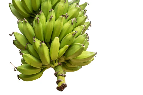 Зеленые Бананы Белом Фоне Путь Вырезания — стоковое фото