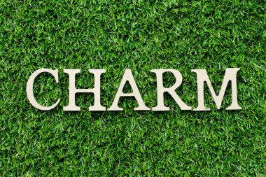 Yeşil çimen arka planında kelime çekiciliğinde ahşap alfabe harfi