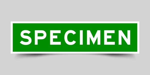 Sticker Label Word Specimen Green Color Gray Background — Stock Vector