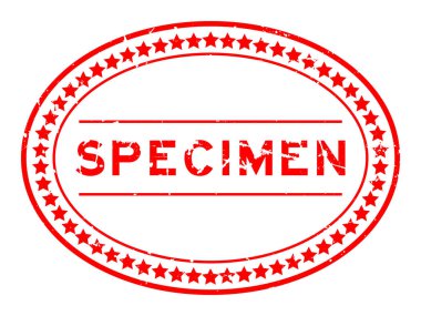 Grunge kırmızı örnek kelime oval lastik mühür beyaz arka planda