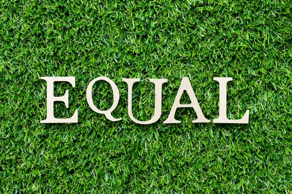 Wood Alphabet Letter Word Equal Green Grass Background — Stock Fotó