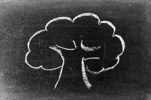White Color Chalk Doodle Handdrawing Tree Shape Black Board Background — Stok fotoğraf