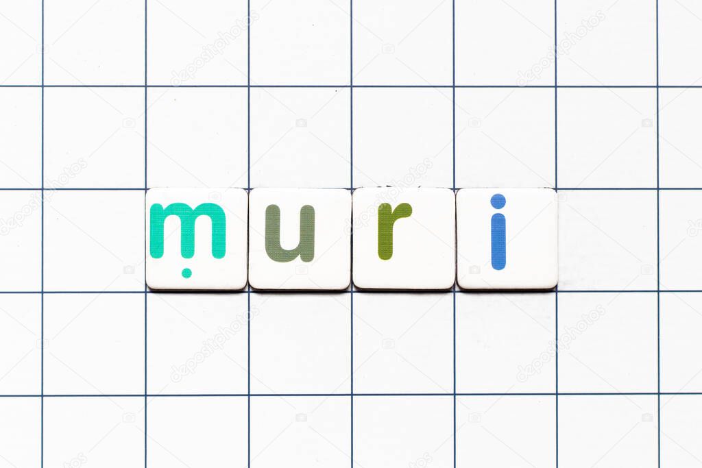 Colorful tile letter in word muri on white grid background