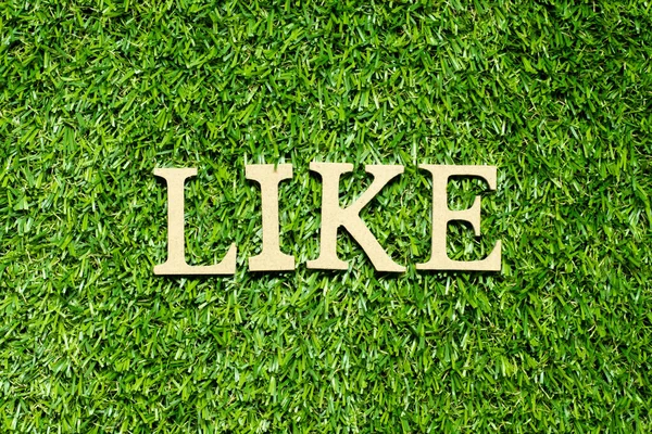 Wood Alphabet Letter Word Green Grass Background — Zdjęcie stockowe