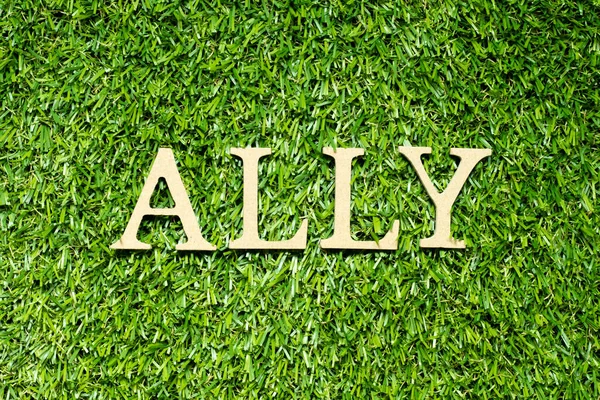 Wood Alphabet Letter Word Ally Green Grass Background — Stok fotoğraf