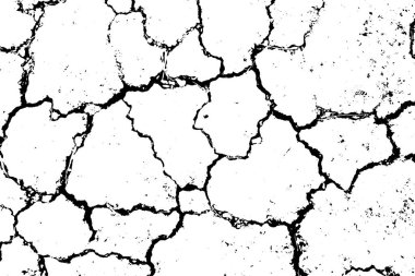 Grunge siyah ve beyaz çatlak dokusu. Üst üste koymak için soyut, karmaşık ve sıkıntılı bir unsur. (vektör)