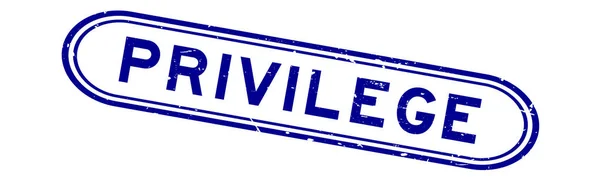 Grunge Blue Privilege Word Rubber Seal Stamp White Background — Stockvektor