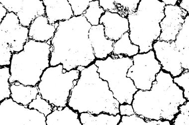 Grunge siyah ve beyaz çatlak dokusu. Üst üste koymak için soyut, karmaşık ve sıkıntılı bir unsur. (vektör)
