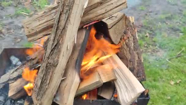 薪はバーベキューグリルで火で燃えています — ストック動画