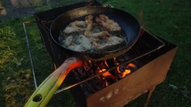 Adam kızartma tavasında balık kızartıyor açık bir ateşte kızartma tavasında, doğadaki bir piknik sırasında