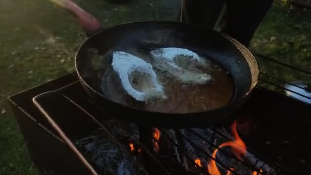 Człowiek Smaży Rybę Patelni Otwartym Ogniu Grillu Patelni Podczas Pikniku — Wideo stockowe