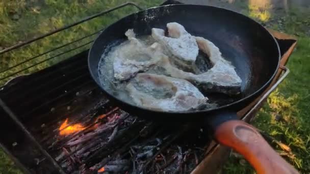 Hombre Fríe Pescado Una Sartén Fuego Abierto Parrilla Una Sartén — Vídeos de Stock