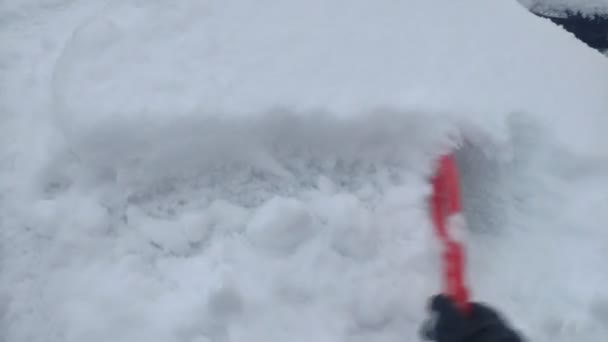 Οδηγός Βουρτσίζει Χιόνι Από Παρμπρίζ Του Αυτοκινήτου — Αρχείο Βίντεο