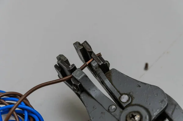 Электрик Снимает Изоляцию Электропроводки Специальным Инструментом Стриптизершей — стоковое фото