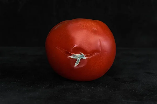 Κακομαθημένη Σάπια Ραγισμένη Μούχλα Κόκκινη Ντομάτα Απομονωμένη Μαύρο Φόντο — Φωτογραφία Αρχείου