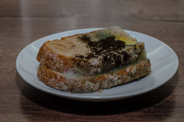 Stale bread covered with black mold on a white saucer