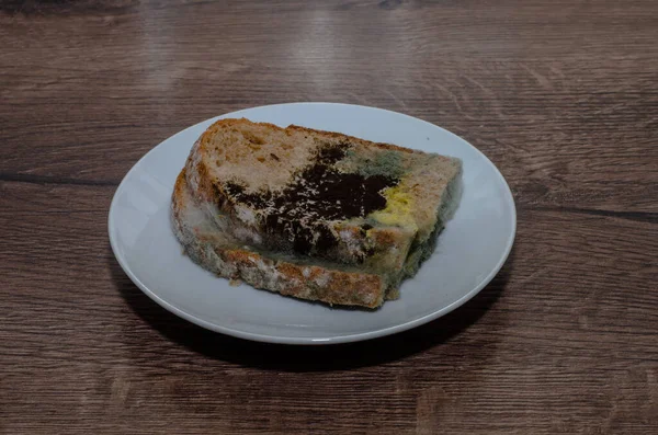 Stale bread covered with black mold on a white saucer