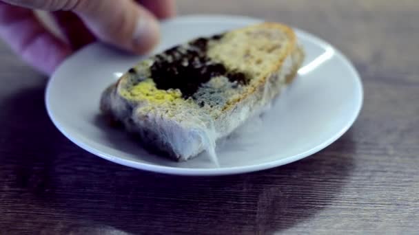Siyah Küfle Kaplanmış Bayat Ekmek Beyaz Bir Tabakta — Stok video