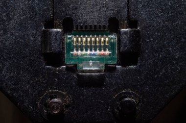 Bilgisayar ustası, internet kablosu UTP 5 8P8C için RJ-45 'i bağlar ve sıkıştırır.