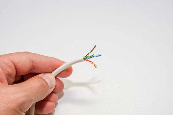 A computer wizard strips the wires of an Internet cable for connecting a twisted pair cable to a jack RJ-45
