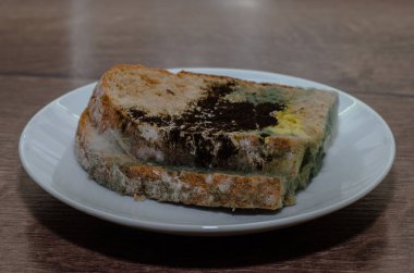 Siyah küfle kaplanmış bayat ekmek, beyaz bir tabakta.